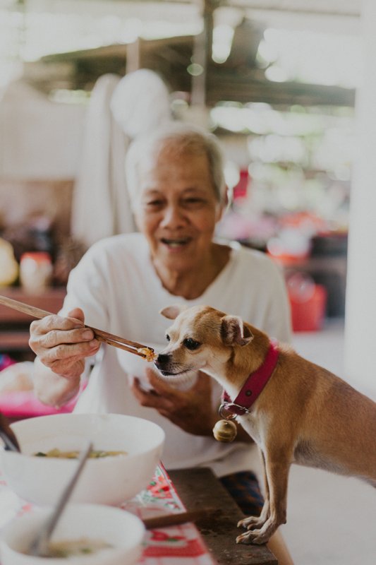 Vietnam grandpa and dog